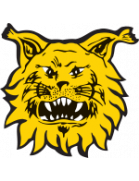 Ilves