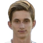 D. Pleštil