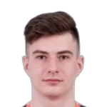 D. Sokol