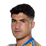 N. Ibáñez