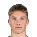 F. Jevšenak